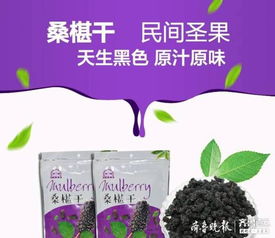 山東古桑農副產品公司 實施三大銷售模式，推動健康產業化發展