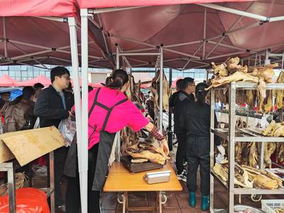 優質農副產品展銷會 品味健康，共享豐收