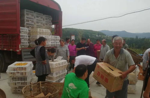 盡銳出戰 愚公與云臺在食品銷售領域的戰略對比