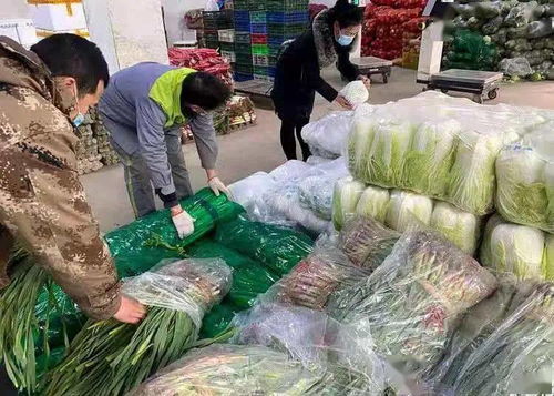 我縣嚴把準入關，力保春節“菜籃子”量足價穩