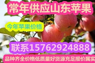 沂水鴻達農副產品購銷處 可靠的紅星蘋果批發供應商